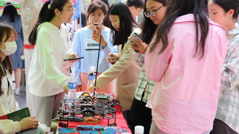 数据可视化工具分类解析：如何选择合适的工具